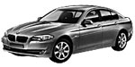 BMW F10 B1743 Fault Code